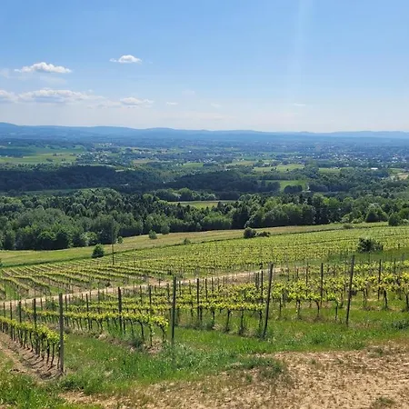 Nieczynne Lägenhet *